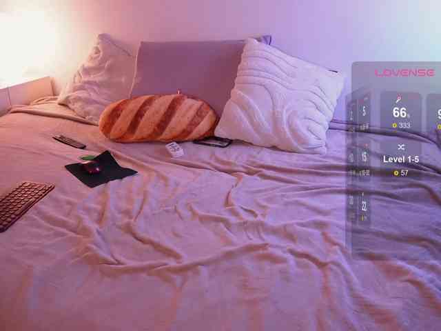 STANOVAYA300KG webcam