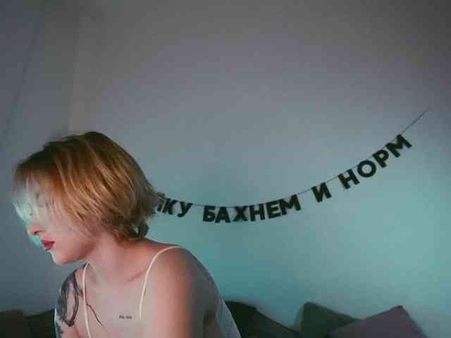 Модель: STANOVAYA300KG