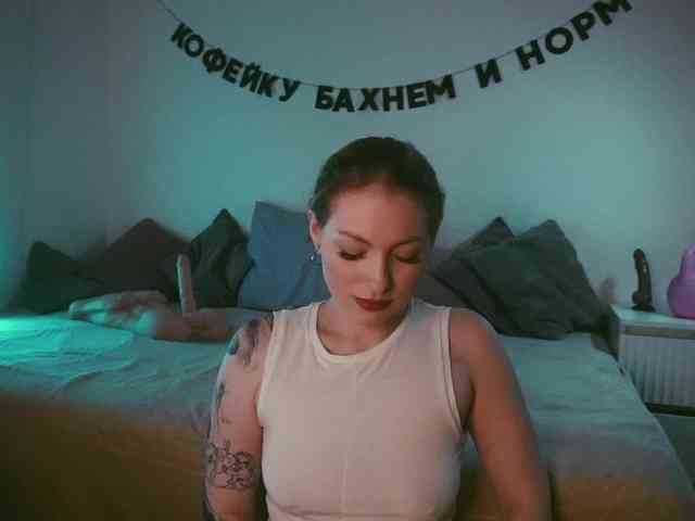 STANOVAYA300KG webcam
