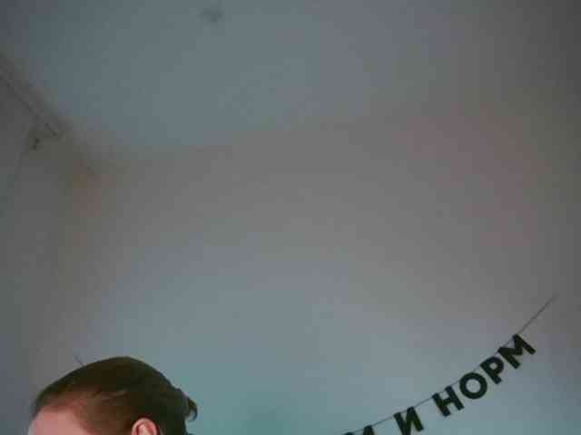 STANOVAYA300KG webcam