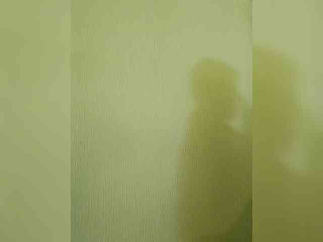 Elia-Elia webcam