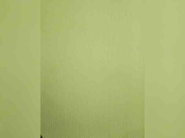Elia-Elia webcam