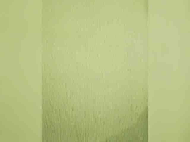Elia-Elia webcam