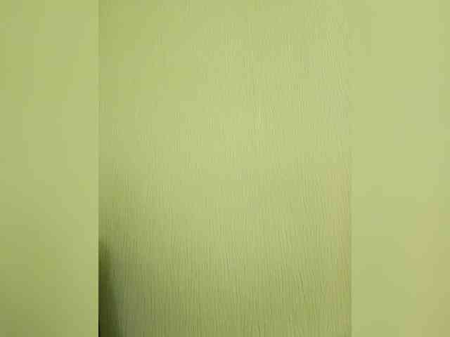 Elia-Elia webcam