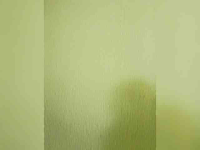 Elia-Elia webcam