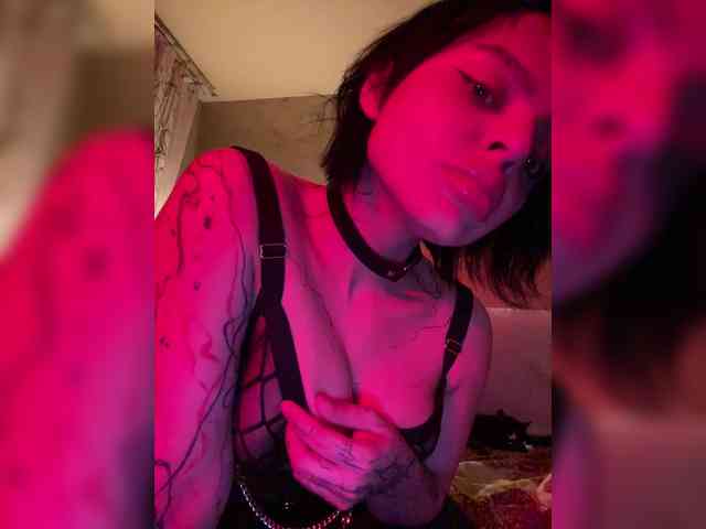 ToriNori webcam