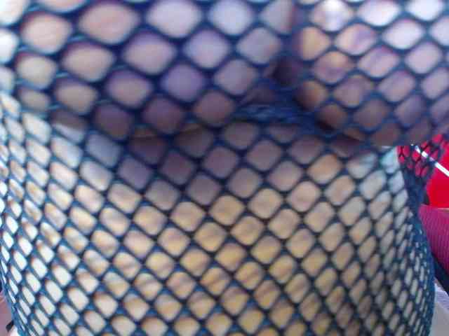 LOLYTABIGBOOBS webcam