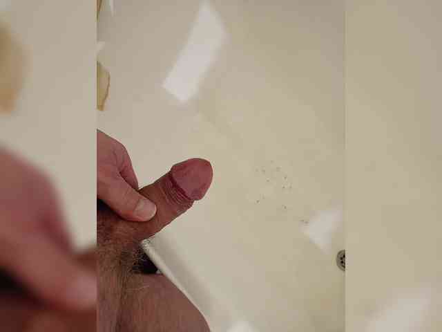 Alexnevskiy Alexnevskiy