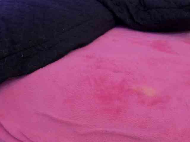 -Kittylove webcam