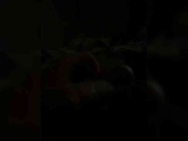 Kuroshitsuji13 Kuroshitsuji13