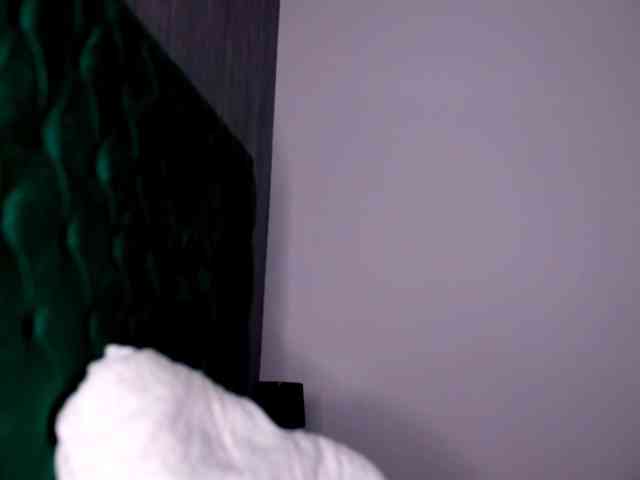 Ttikhomirov webcam
