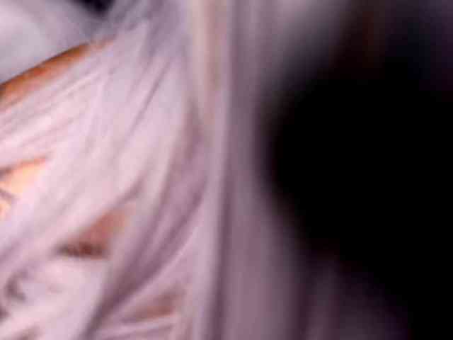 sexy chat online Ttikhomirov