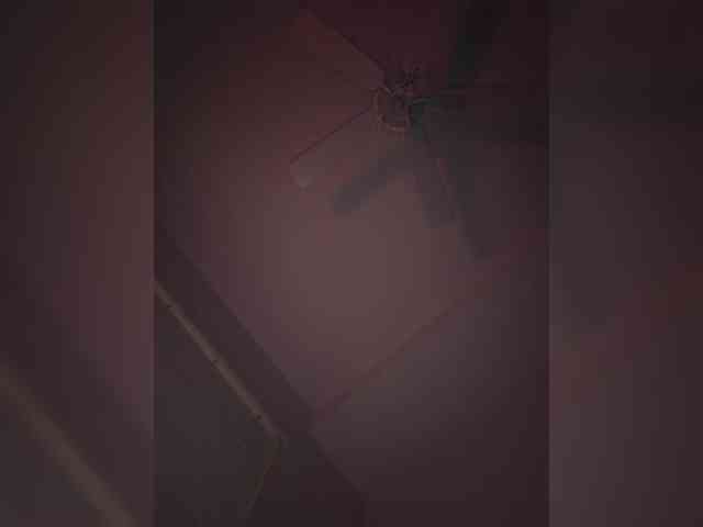 Nofacenocasea webcam