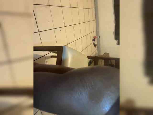 Nofacenocasea Nofacenocasea