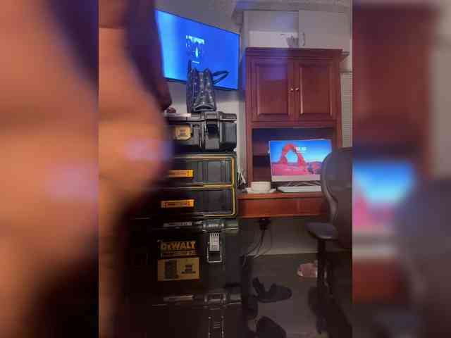 Nofacenocasea Nofacenocasea