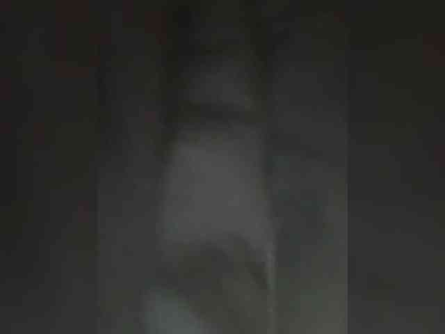 Nofacenocasea webcam