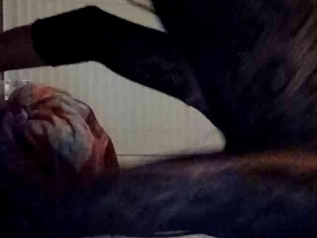 Nofacenocasea Nofacenocasea