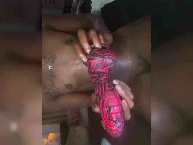 Nofacenocasea webcam