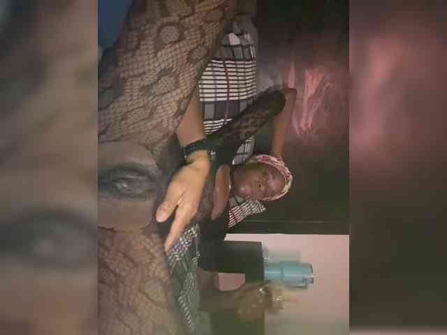 Nofacenocasea webcam