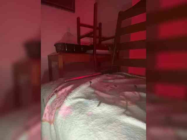 Nofacenocasea Nofacenocasea