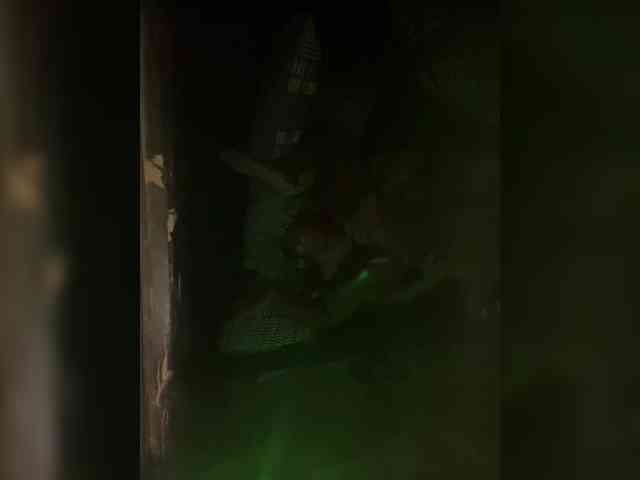 Nofacenocasea Nofacenocasea