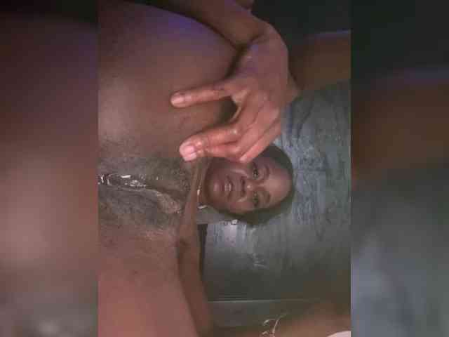 Nofacenocasea Nofacenocasea