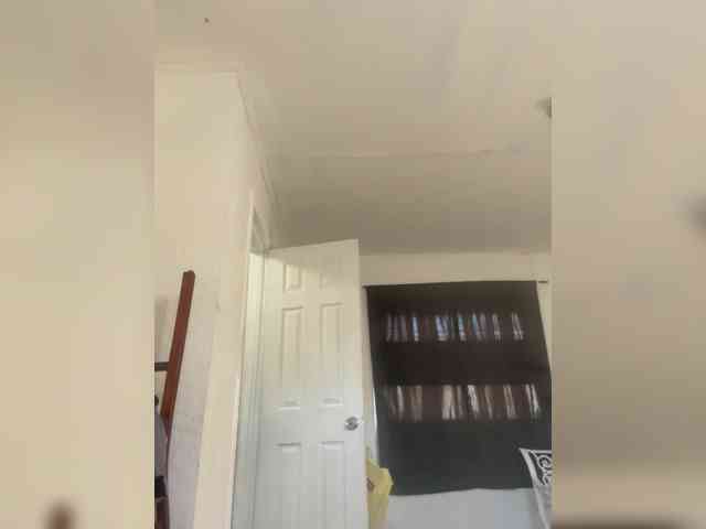 Nofacenocasea Nofacenocasea