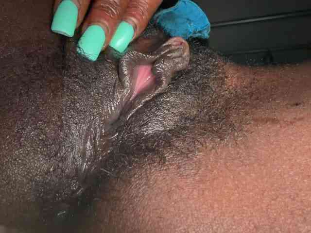 Nofacenocasea webcam