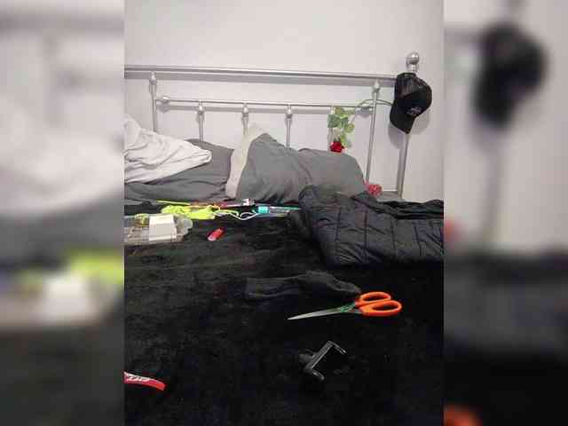 Nofacenocasea webcam