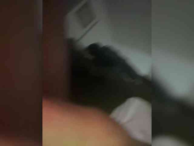 Nofacenocasea webcam