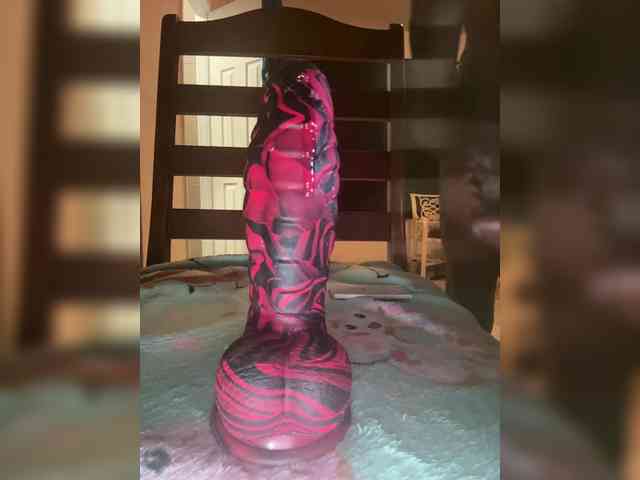 Nofacenocasea Nofacenocasea