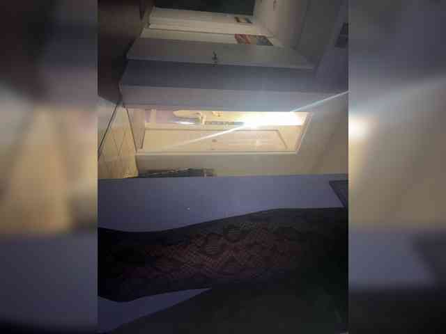 Nofacenocasea webcam