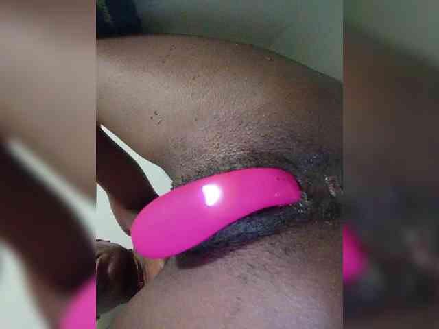 Nofacenocasea webcam