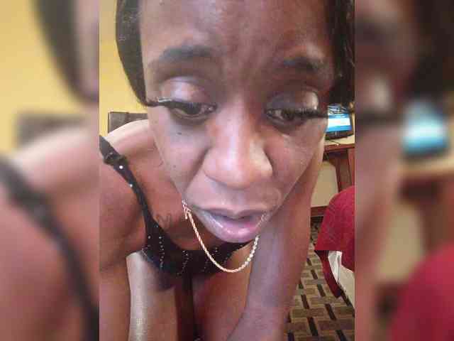 Nofacenocasea webcam