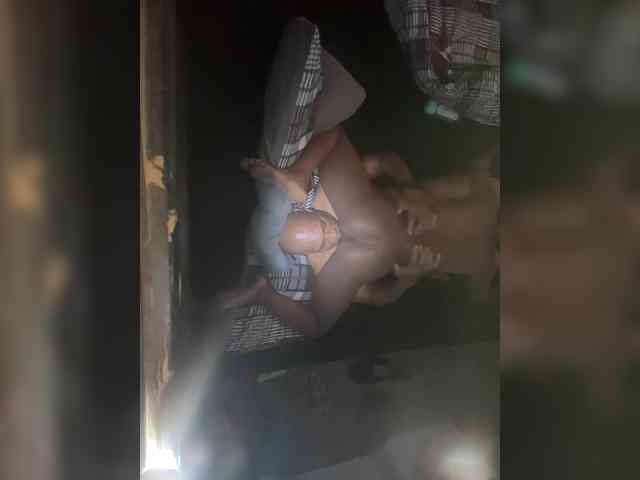 Nofacenocasea Nofacenocasea