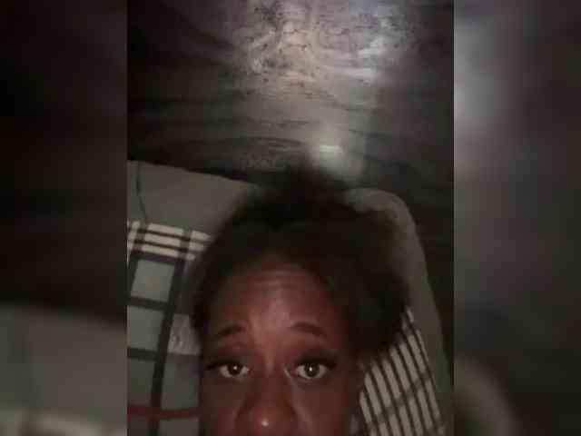 Nofacenocasea webcam