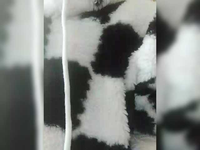 Angelinamik's BongaCams show and profile