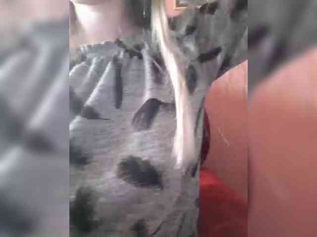 Angelinamik Angelinamik