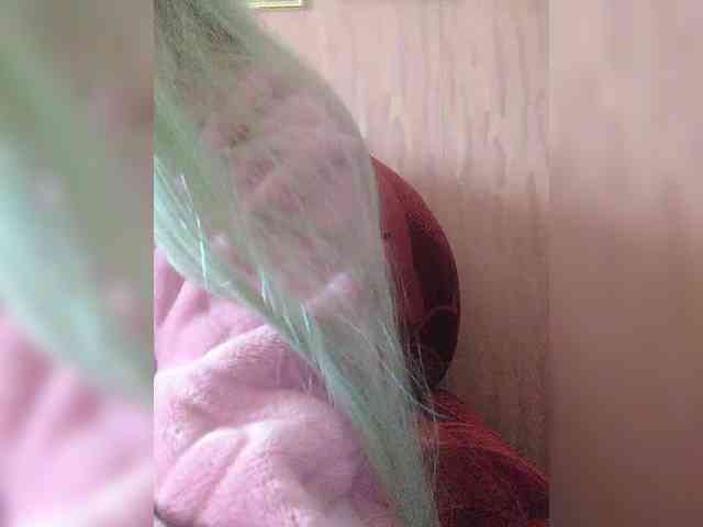 Xo4y-Tpax webcam