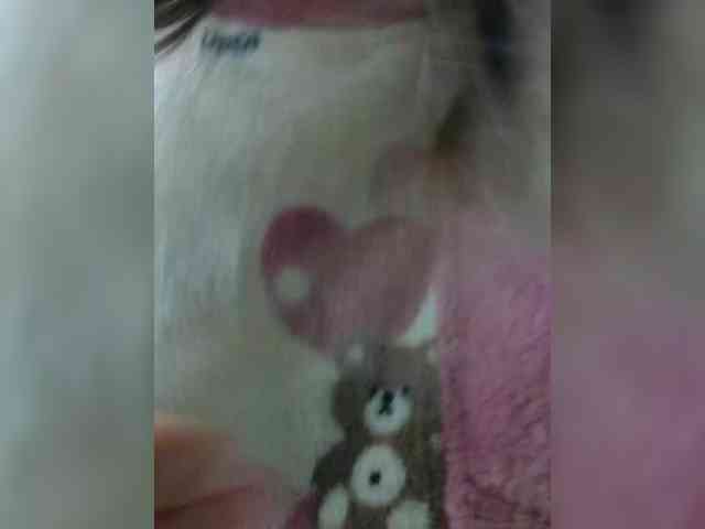 Angelinamik Live Webcam on BongaCams