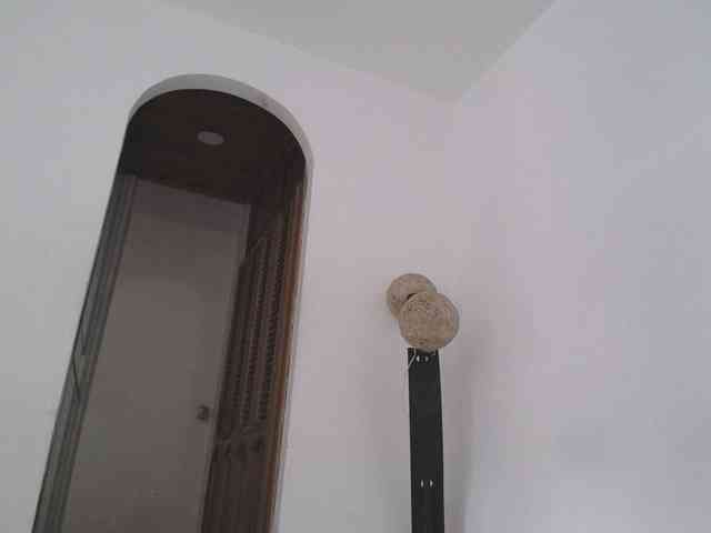 ShekinahPhili1 ShekinahPhili1