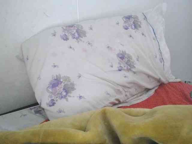 PhiliaShekinah webcam