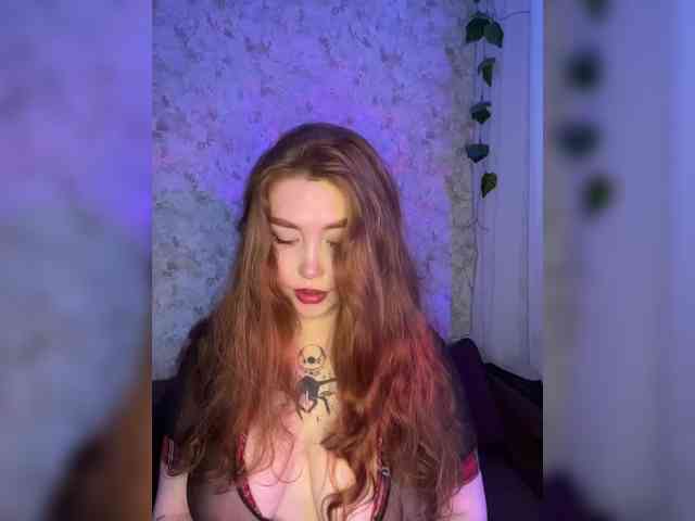 Harita webcam