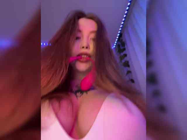 Harita webcam