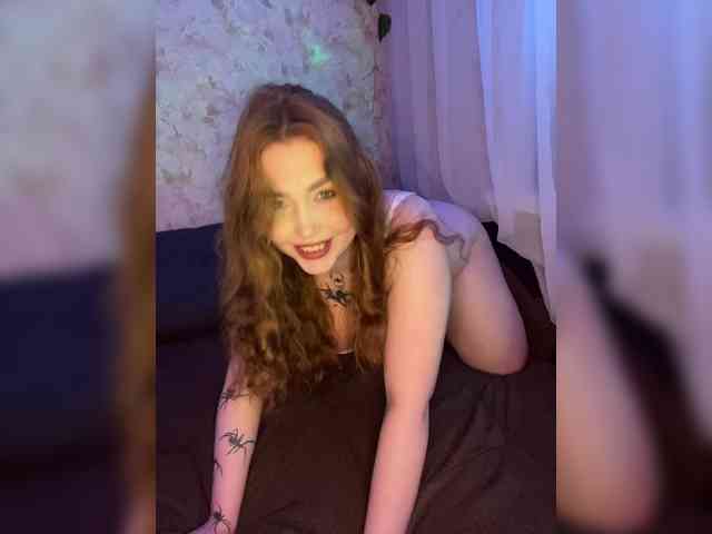 Harita webcam