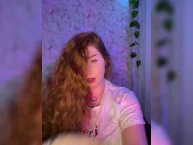 Harita webcam