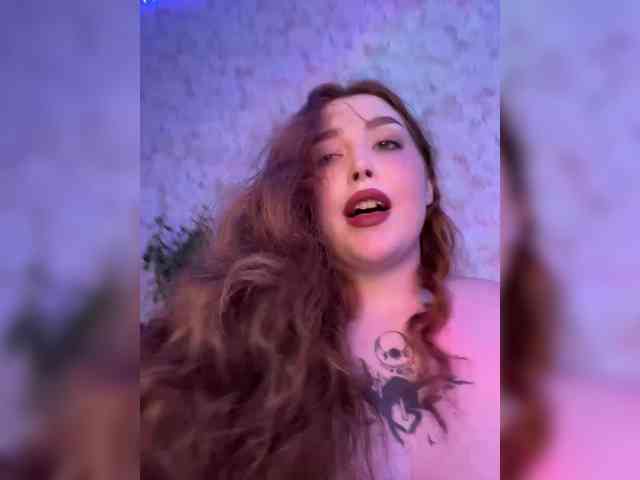 Harita webcam