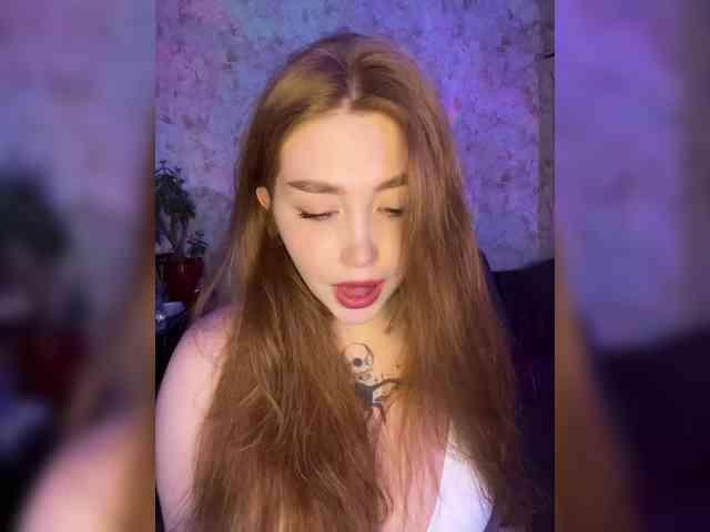Harita webcam