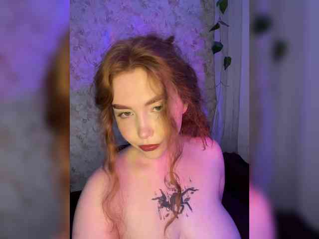 Harita webcam