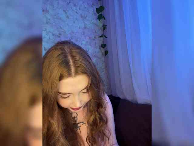 Harita webcam
